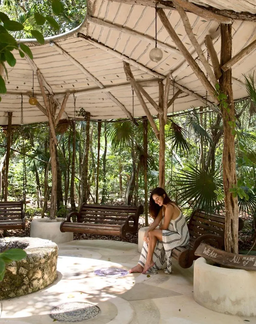 The Beehive Experience At Holistika Tulum Hotel Hostel
