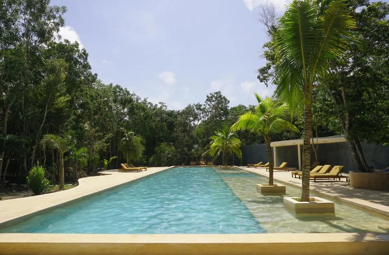 The Beehive Experience At Holistika Tulum Hotel Mexico