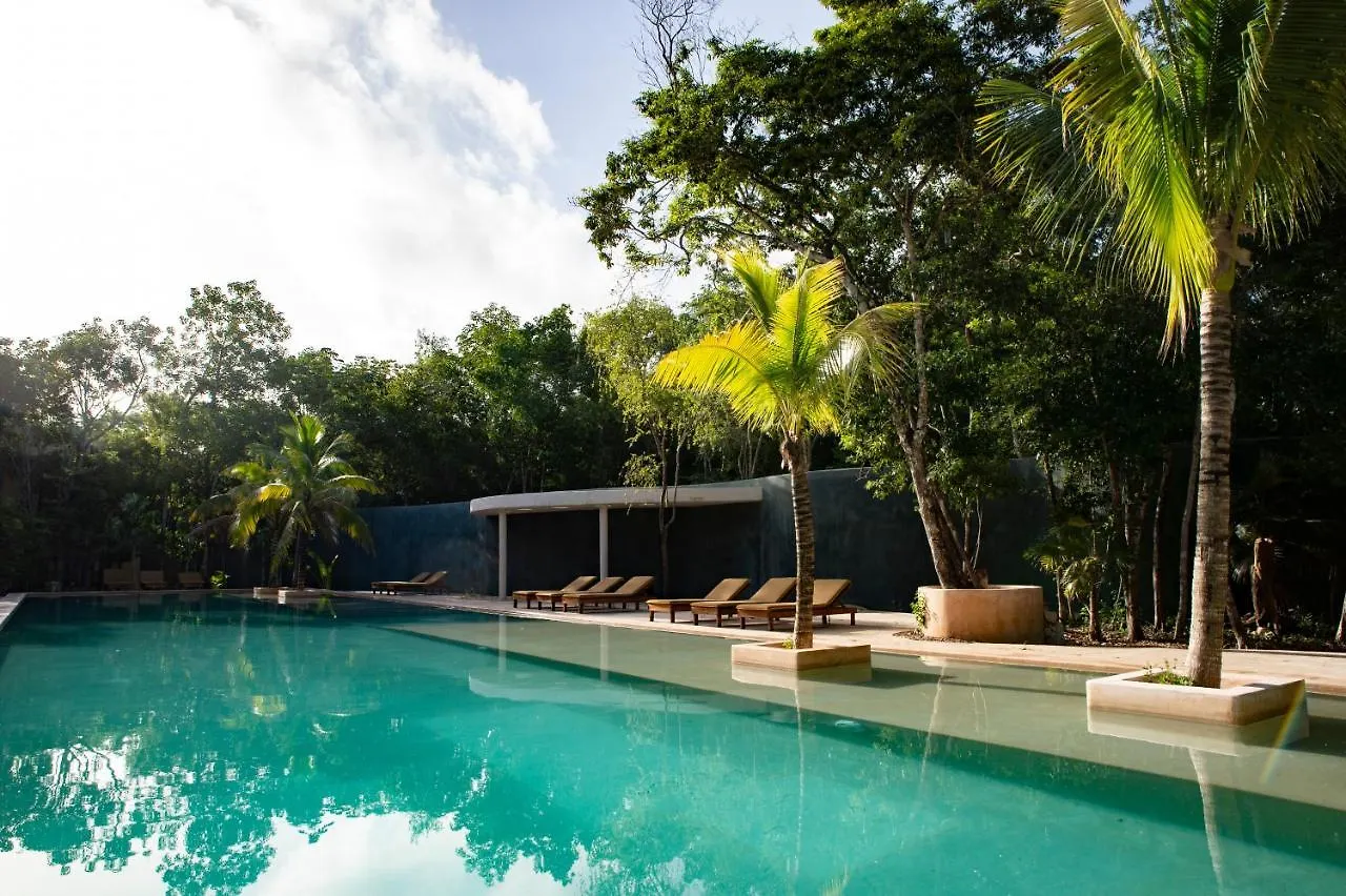 Hostel The Beehive Experience At Holistika Tulum Hotel Mexico